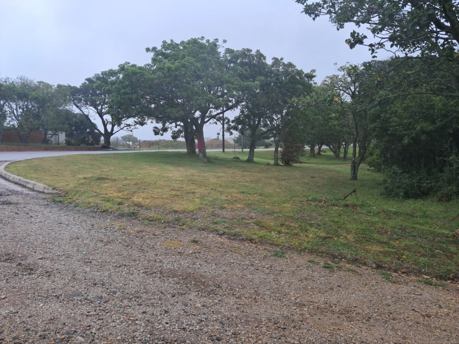 0 Bedroom Property for Sale in Alexandria Eastern Cape